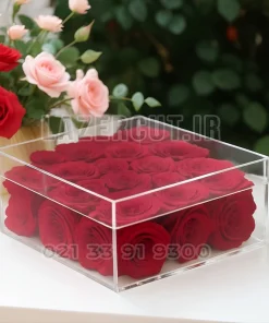 باکس گل پلکسی